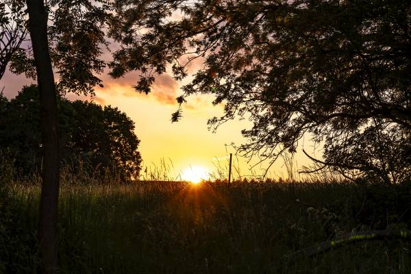 SURROUNDING AREA OF IGLAU