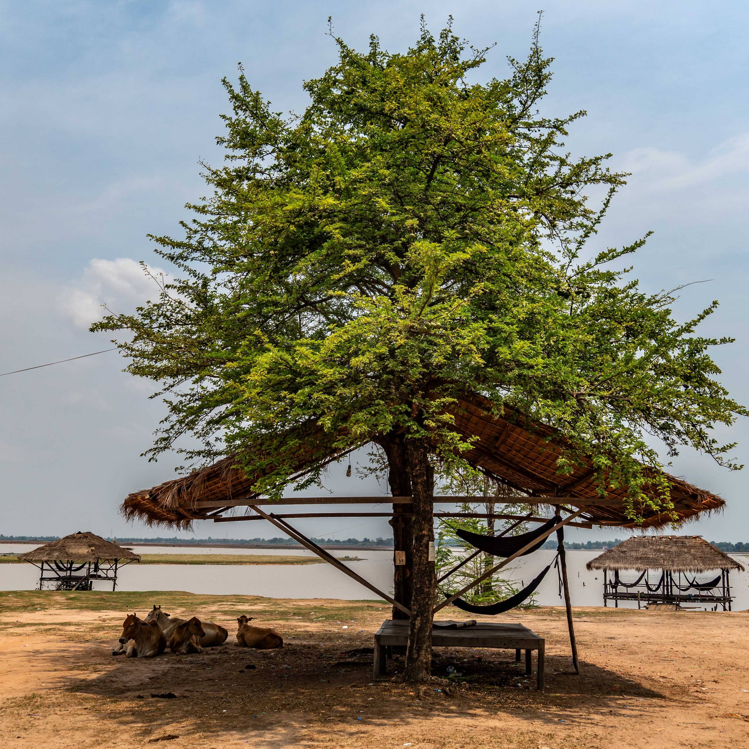 RESTAURANT IN KAMPONG SVAY