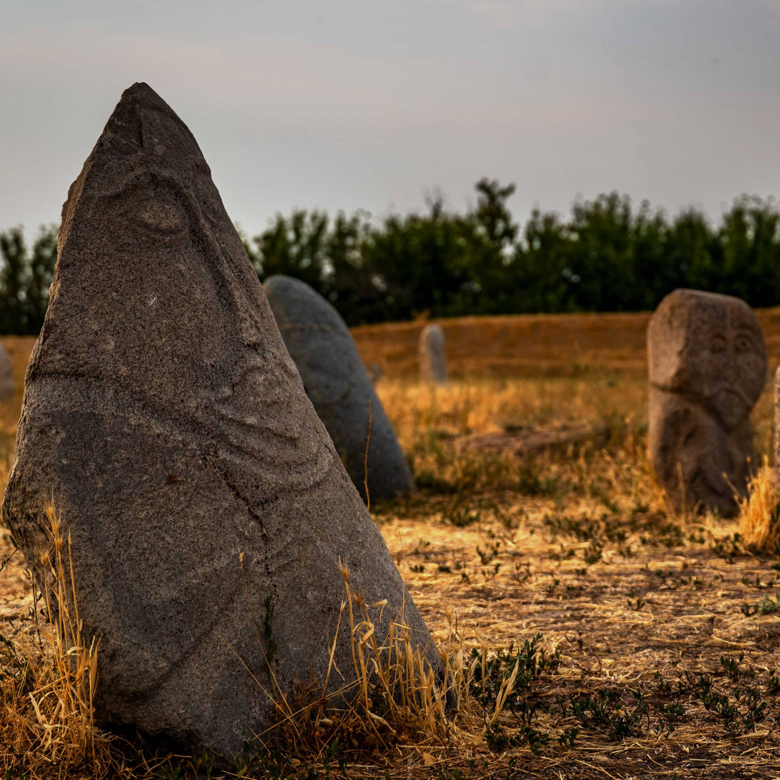 Ancient Carved Stones at Burana