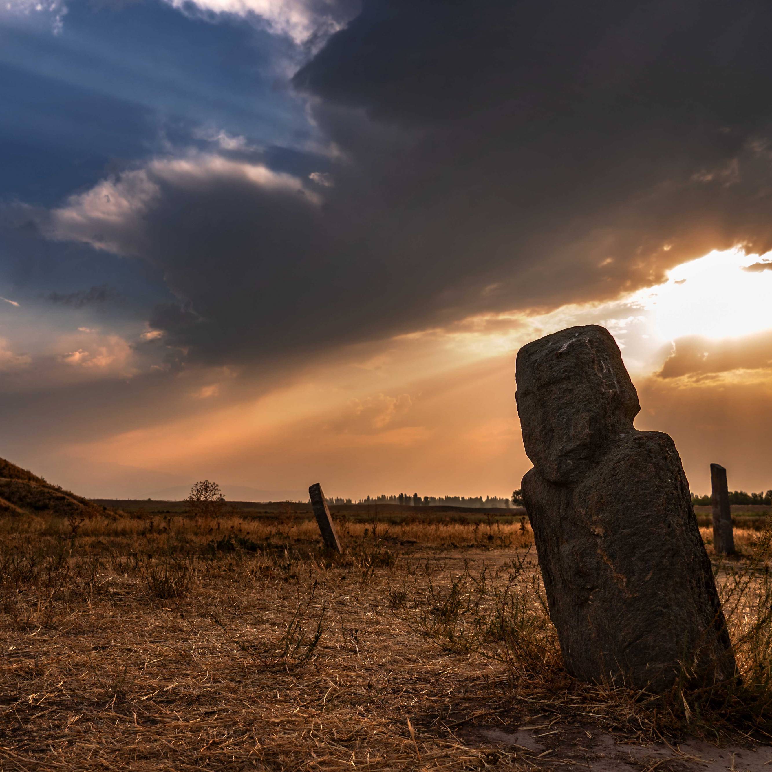 Ancient Carved Stones at Burana