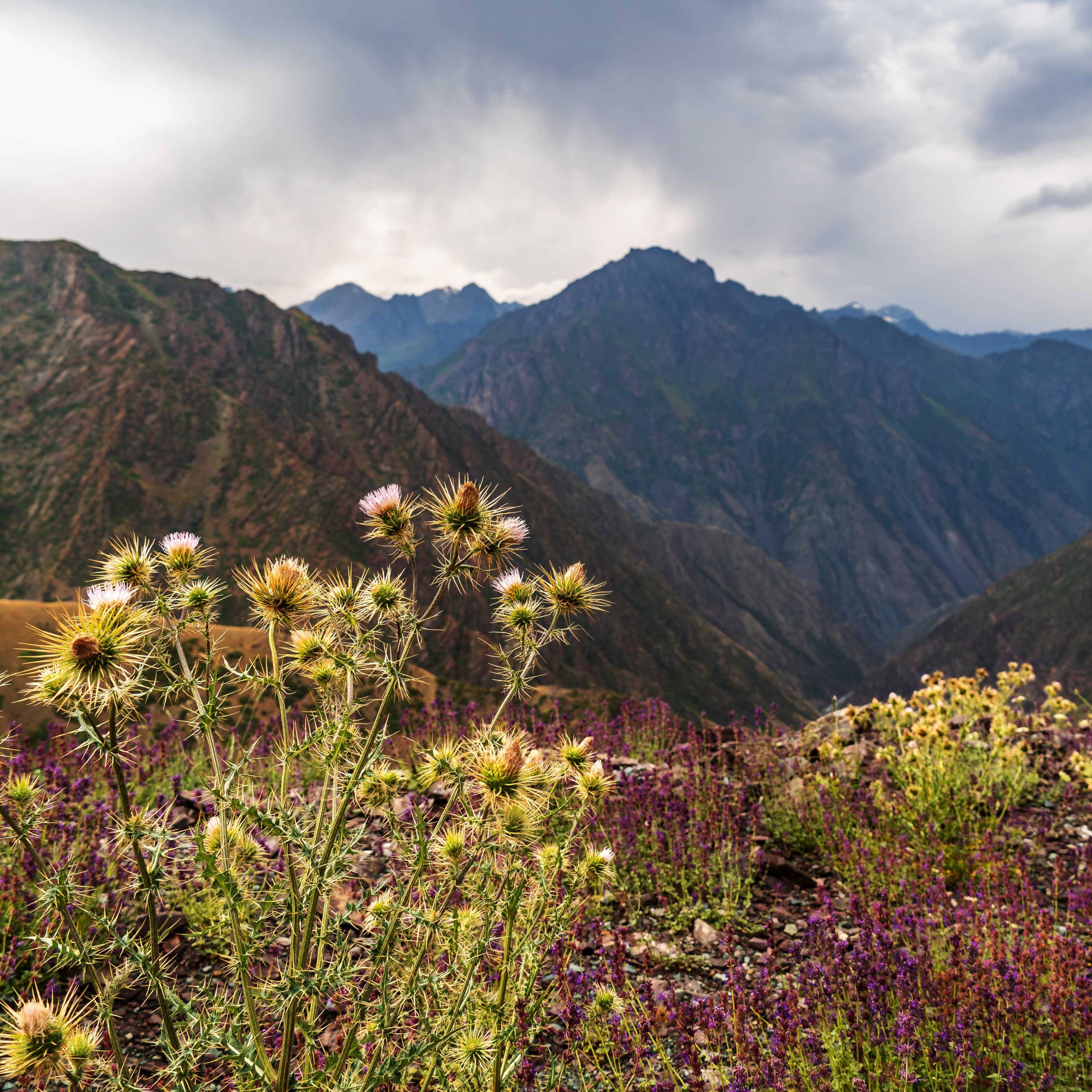 Pass between Bishkek and Toktogul