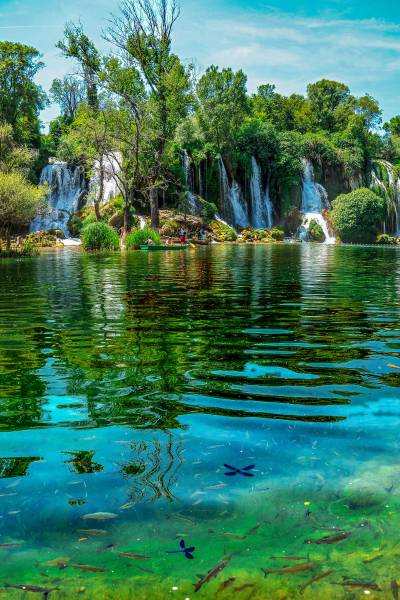 Fish at Kravice Waterfalls