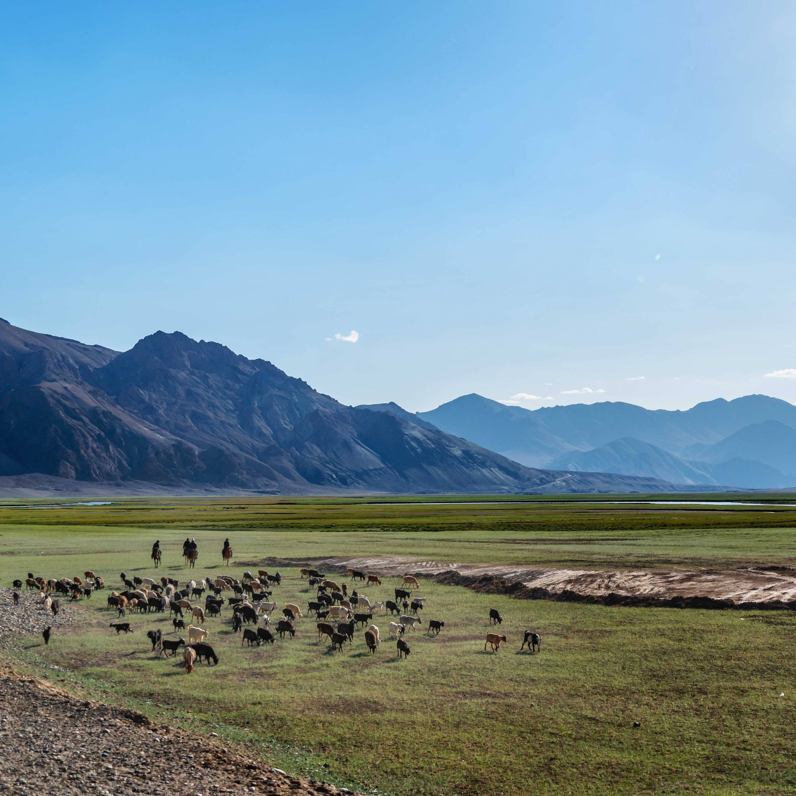 Shepherds on Pamir Highway