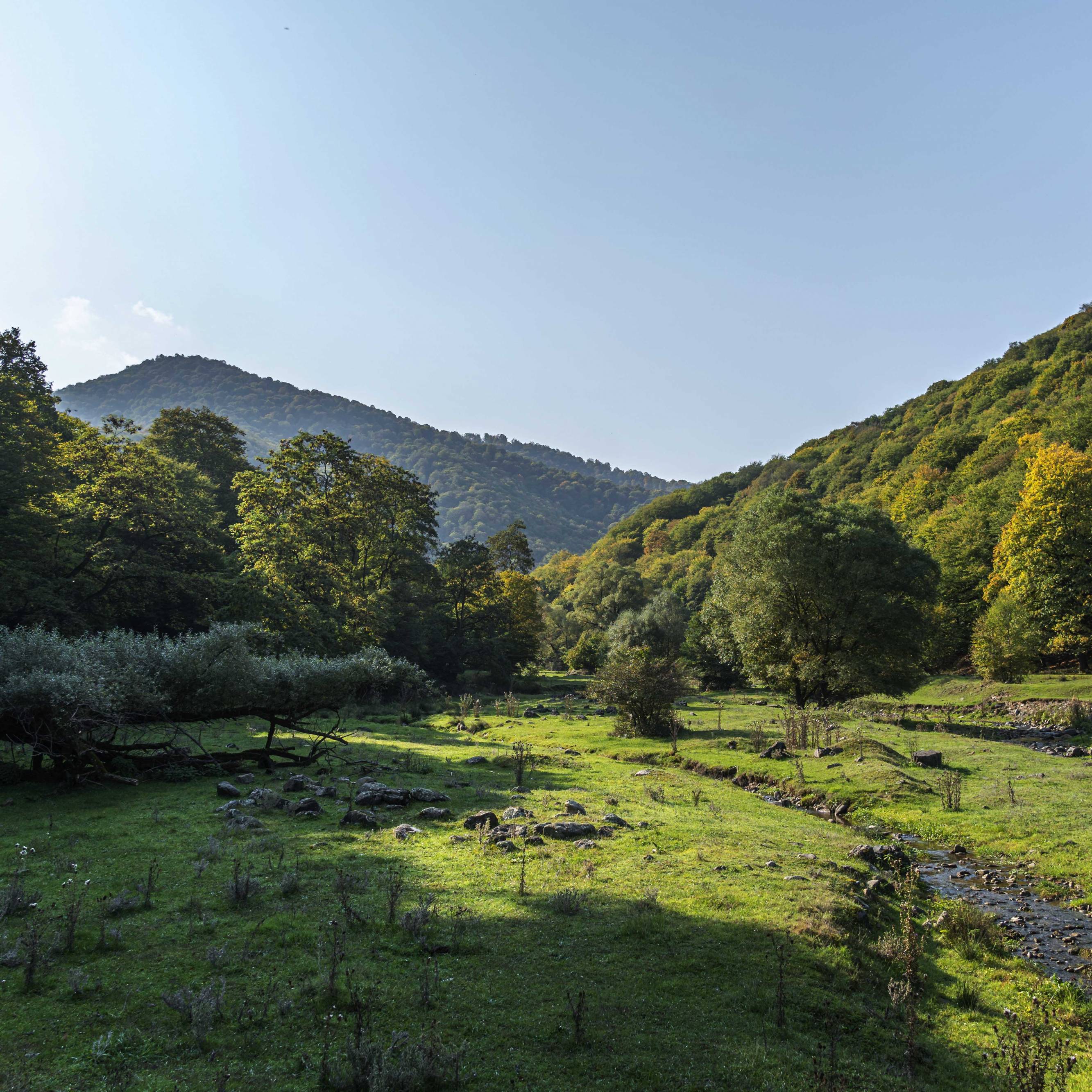 Camping Spot in Sadakhlo