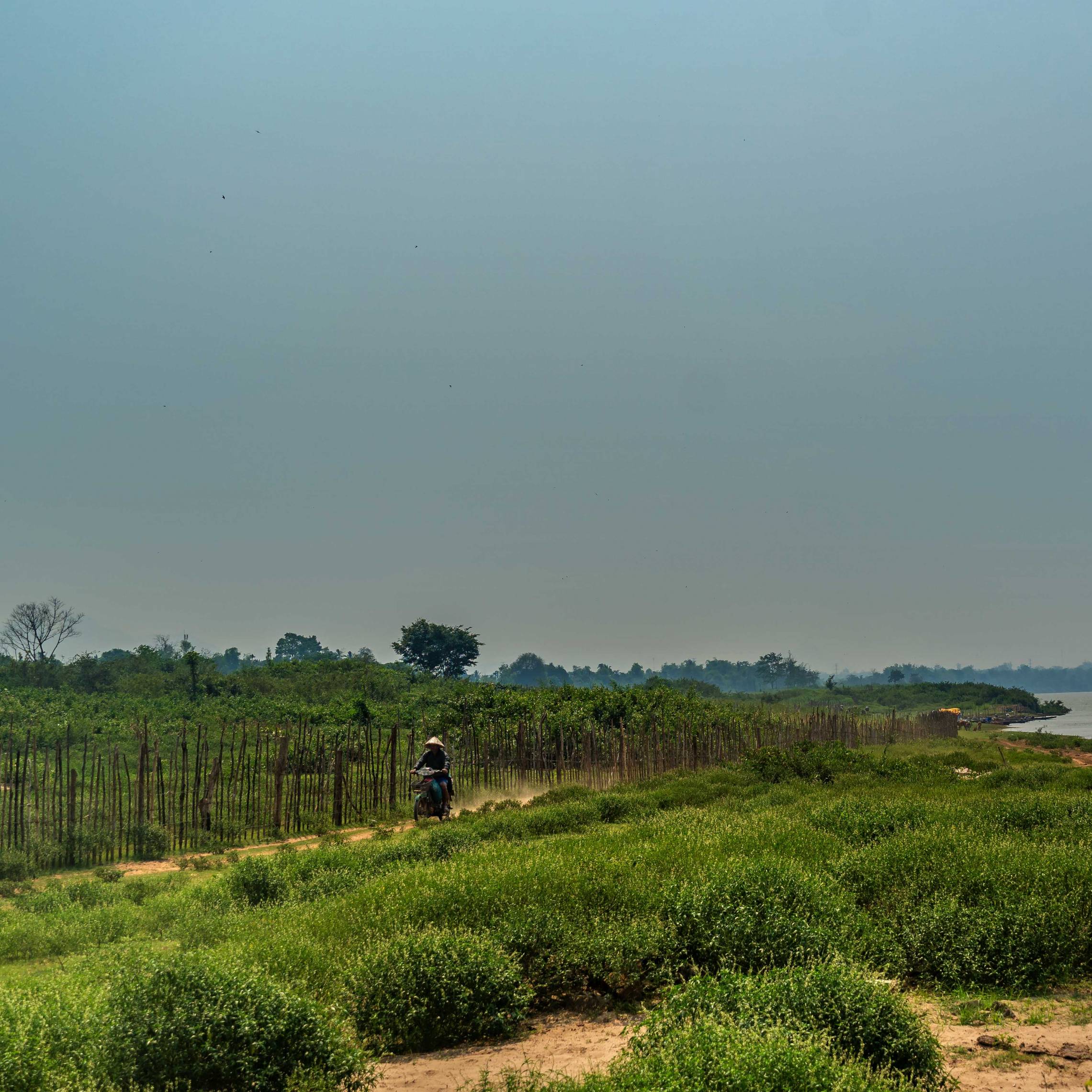 LOCAL FARMER IN THAKHEK NEXT TO THE MEKONG RIVER