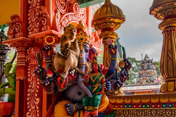 MONKEY ON A GANESHA STATUE, BATU CAVES