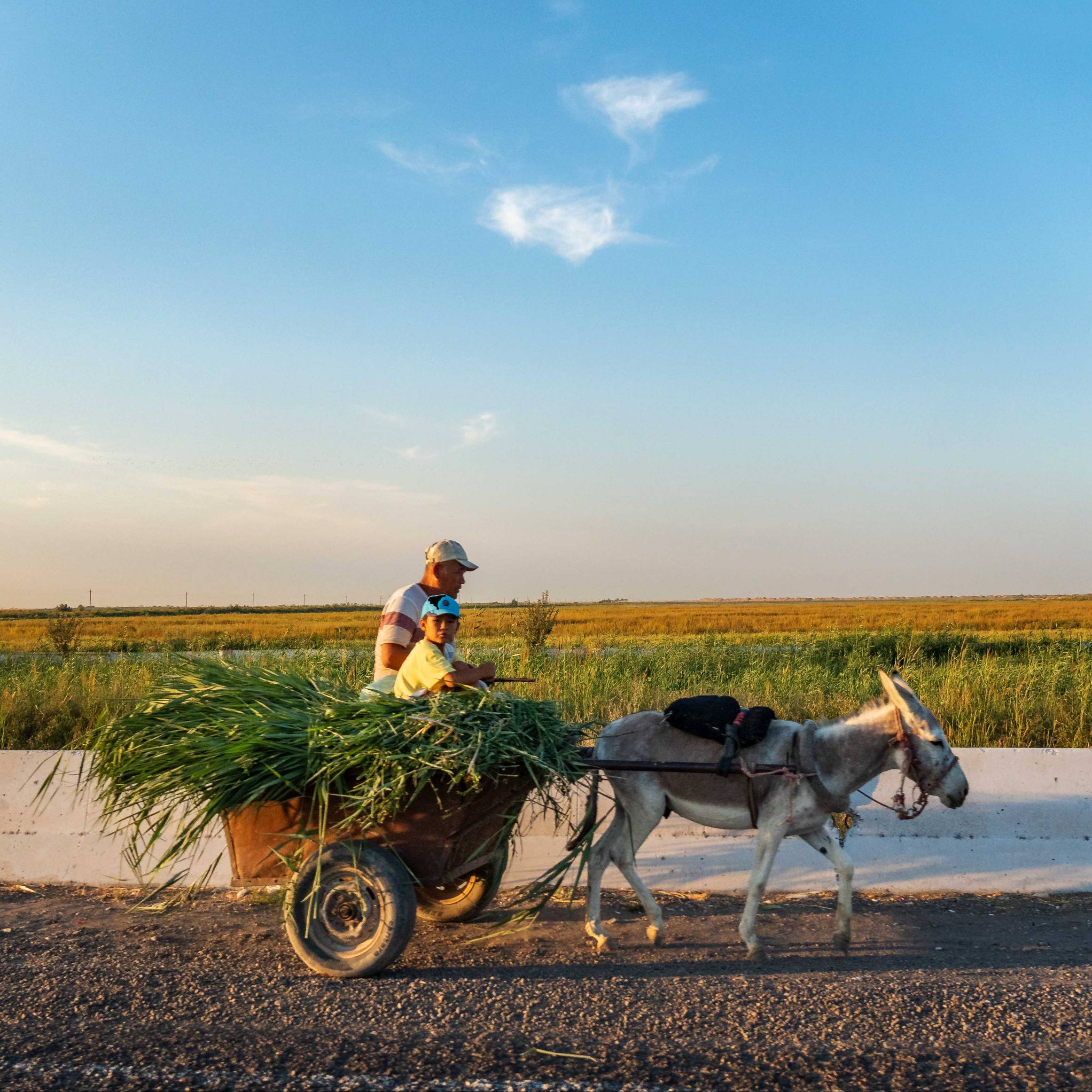 Uzbek country life