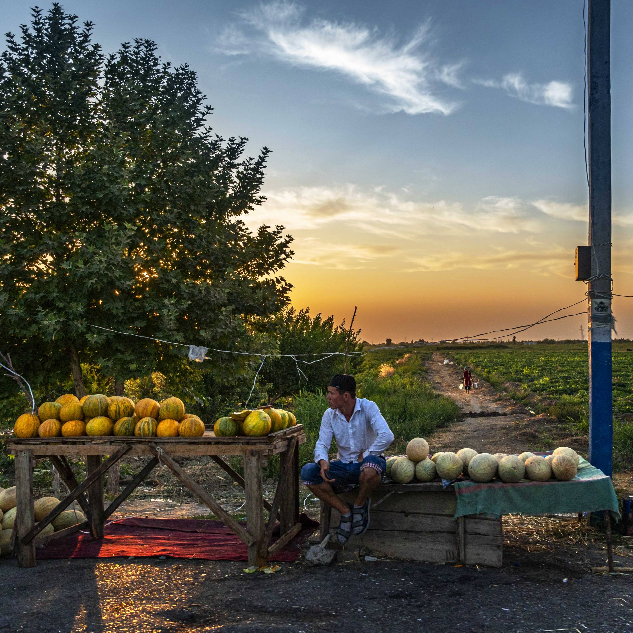 A man selling melons along the way to Samarkand