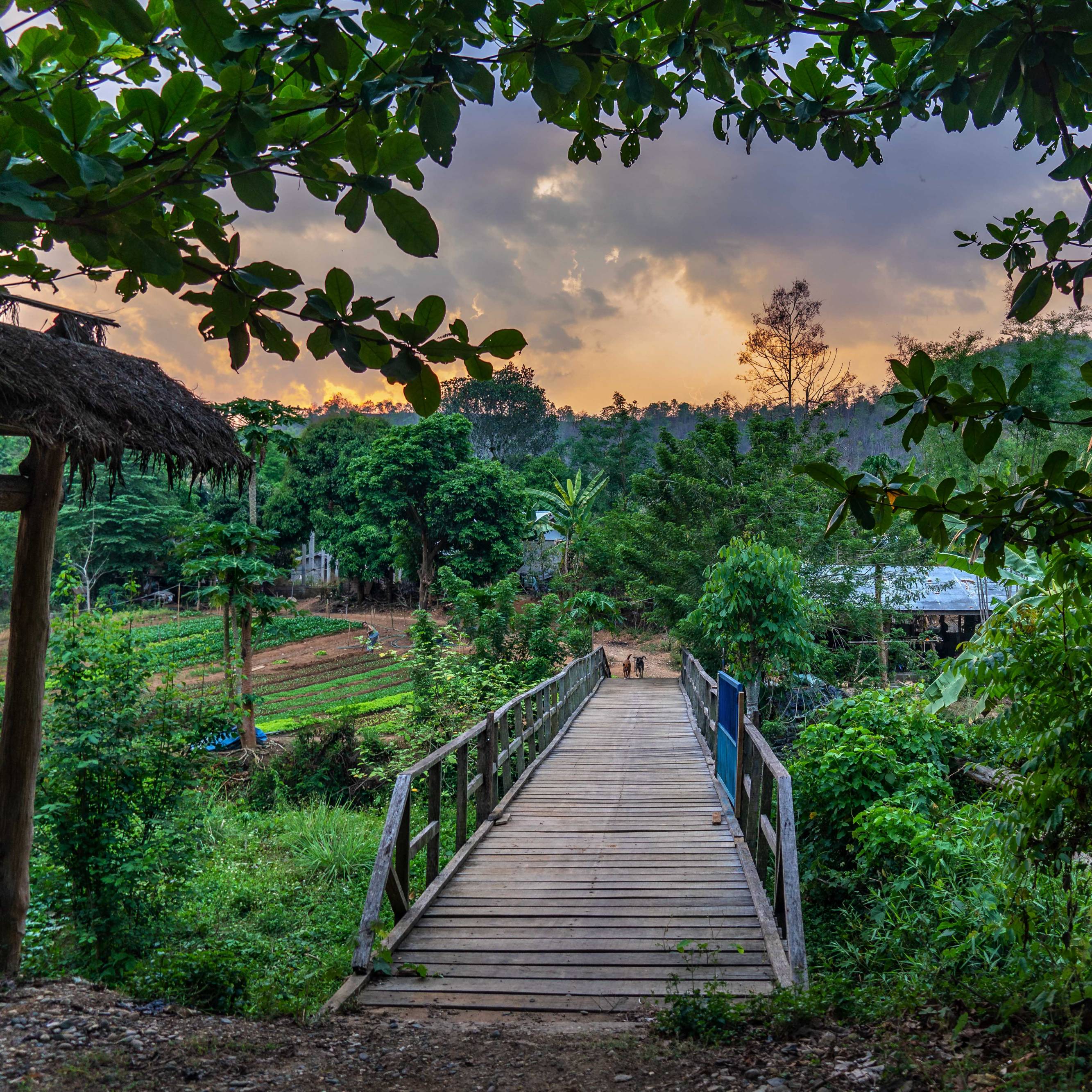 FARMERS HOUSE AT VANG VIENG