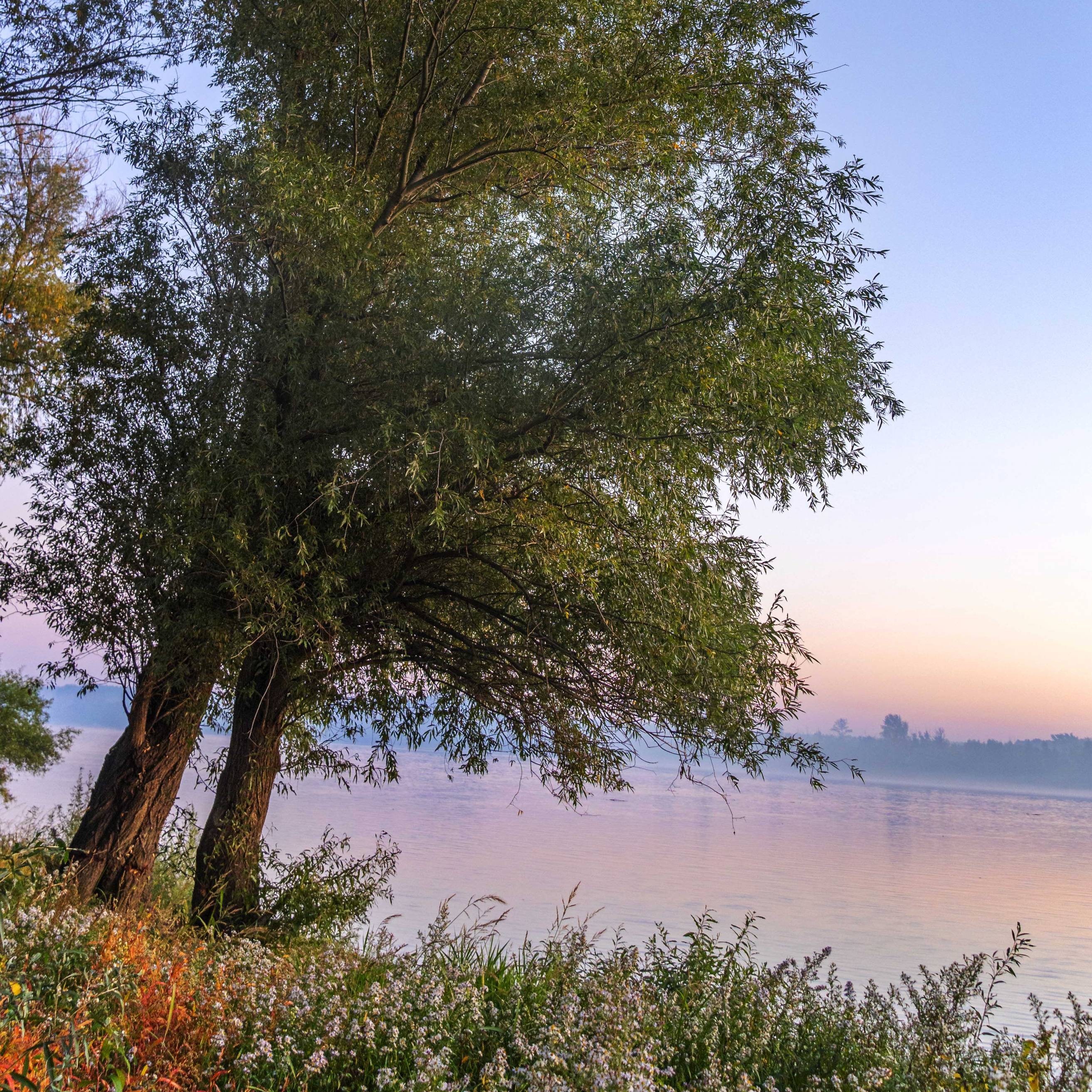 Sunrise in Sremski Karlovci