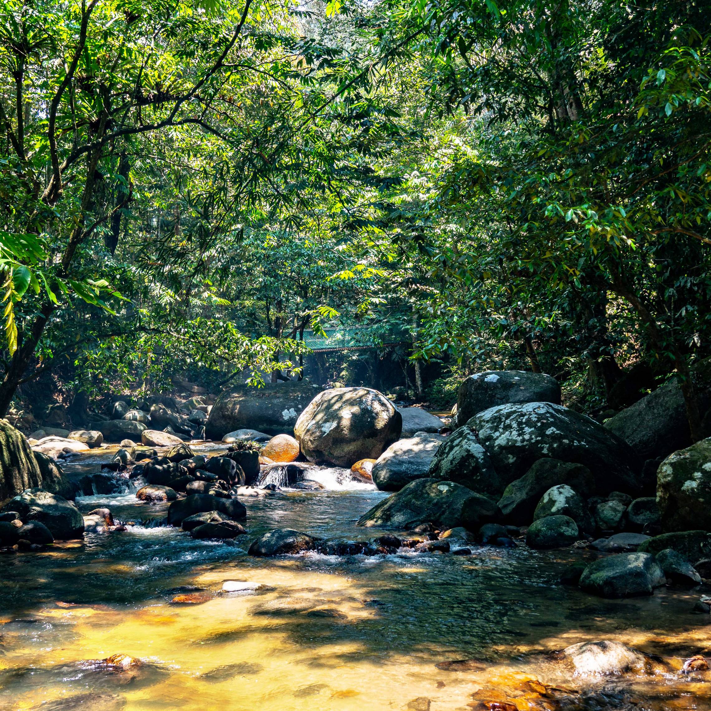 TAMAN EKO RIMBA KANCHING WATERFALL