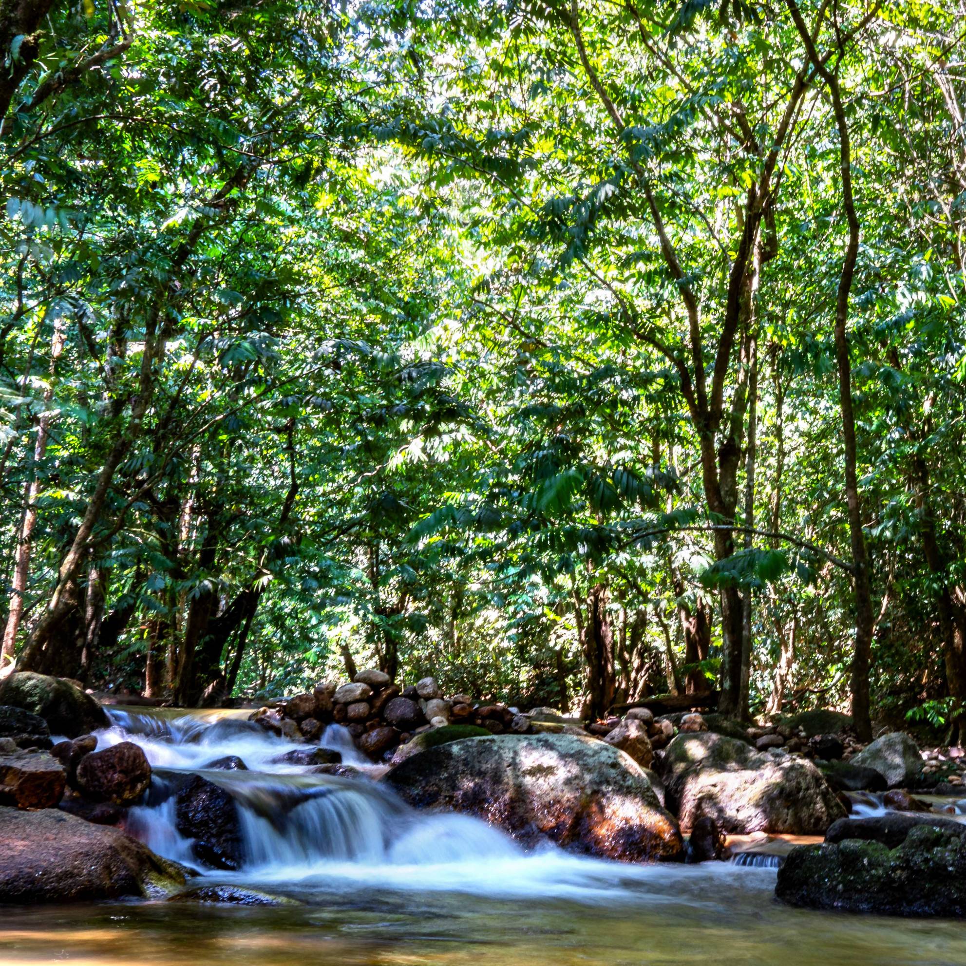 TAMAN EKO RIMBA KANCHING WATERFALL