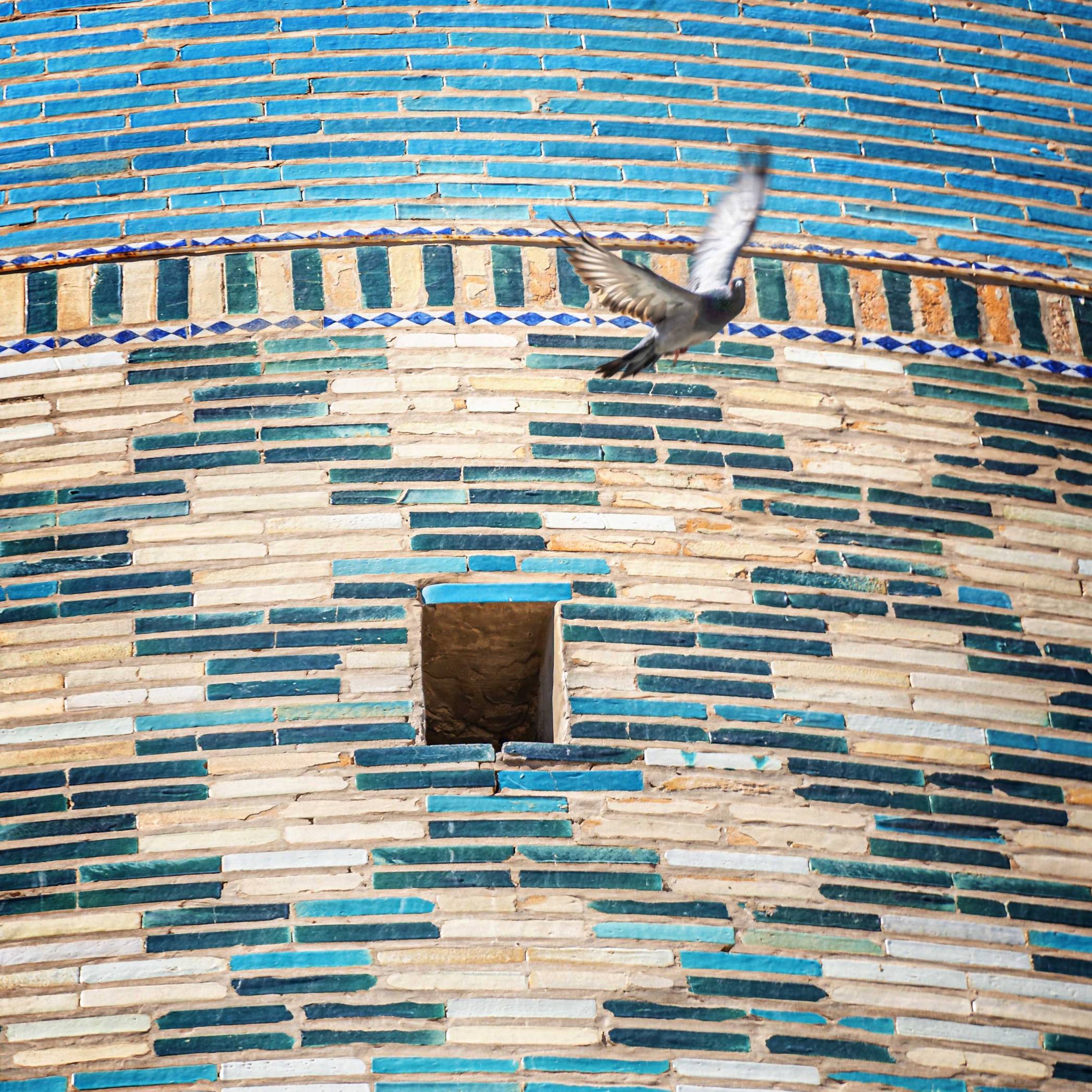 A pigeon flying from a window of the Kalta Minor