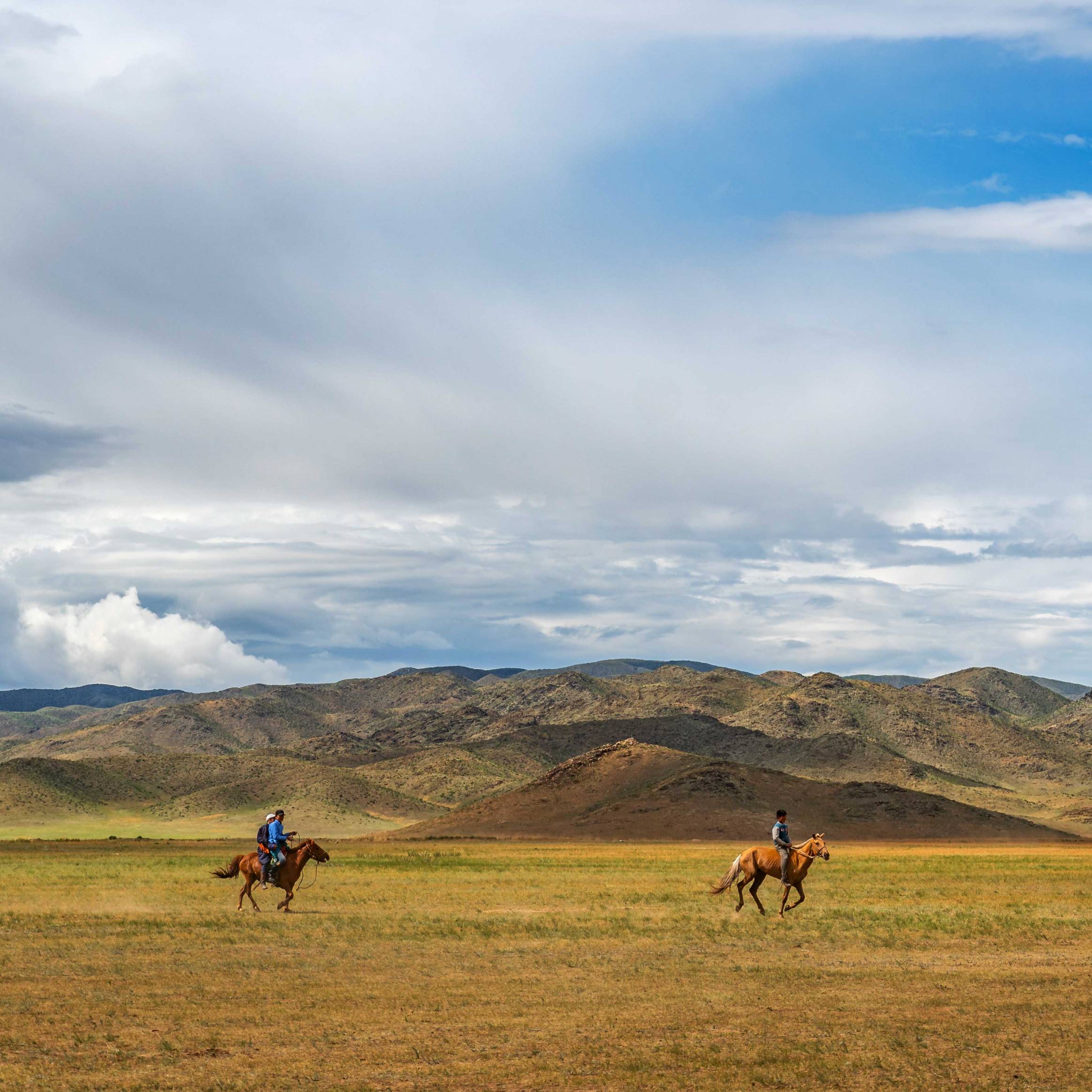 Mongolian Horsemen 